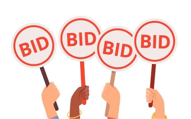 Auction Property